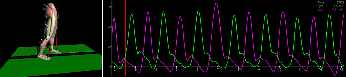 Ground reaction forces in the MotionMonitor xGen