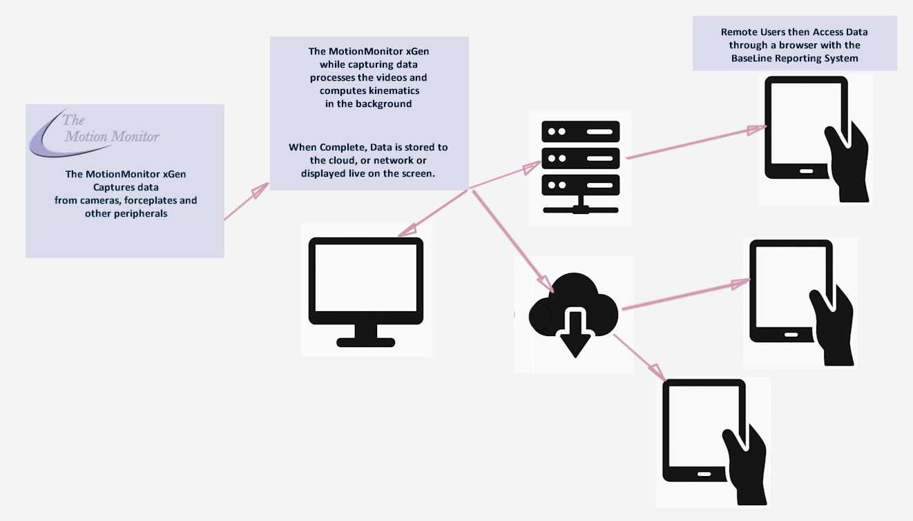 The MotionMonitor BaseLine Reporting System